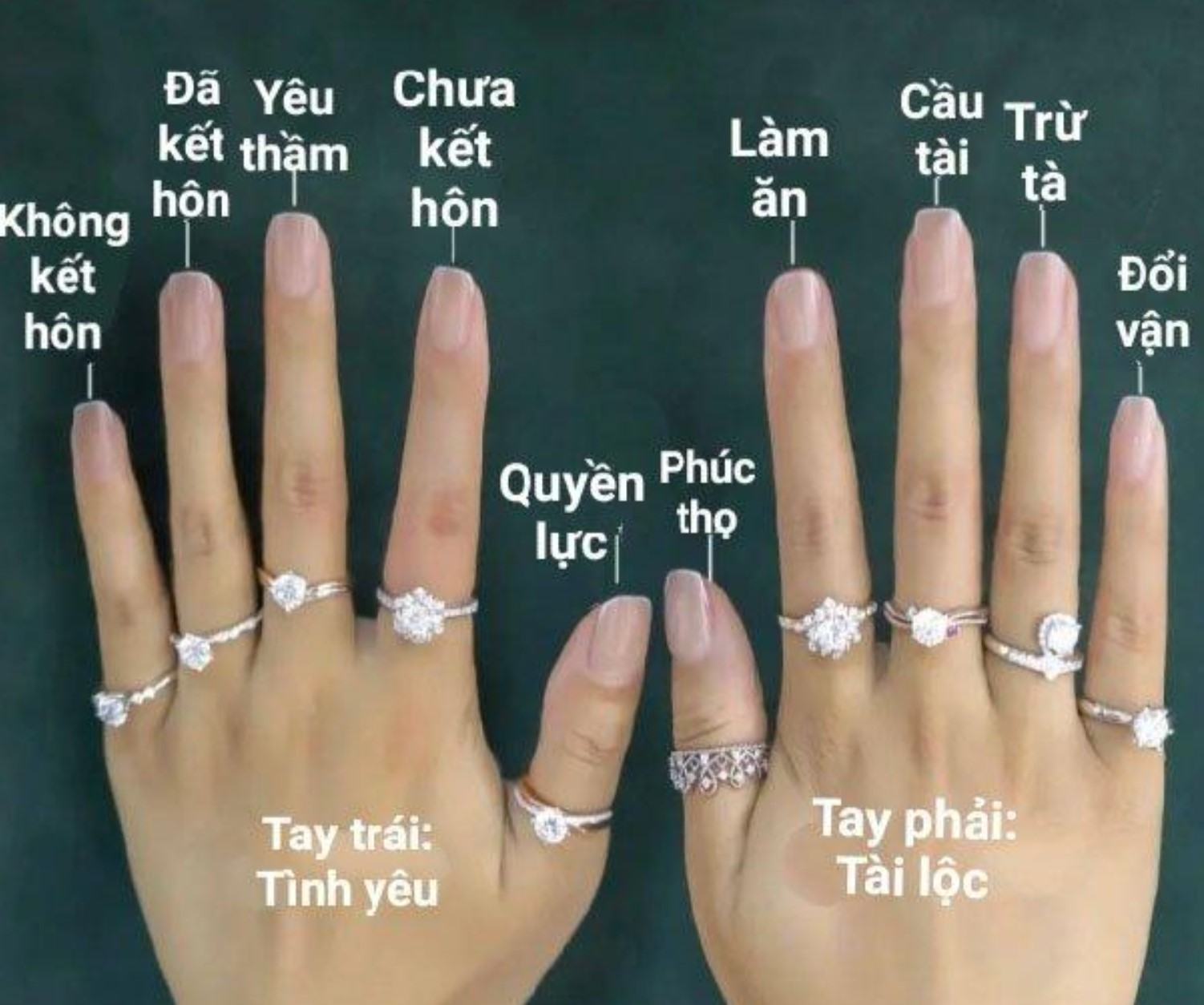 TOP 15 mẫu nhẫn đeo ngón trỏ đẹp dành cho nam và nữ đáng mua nhất -  Thegioididong.com